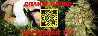 jwh Бердск
