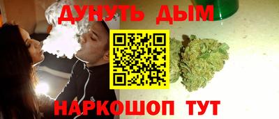 jwh Бердск