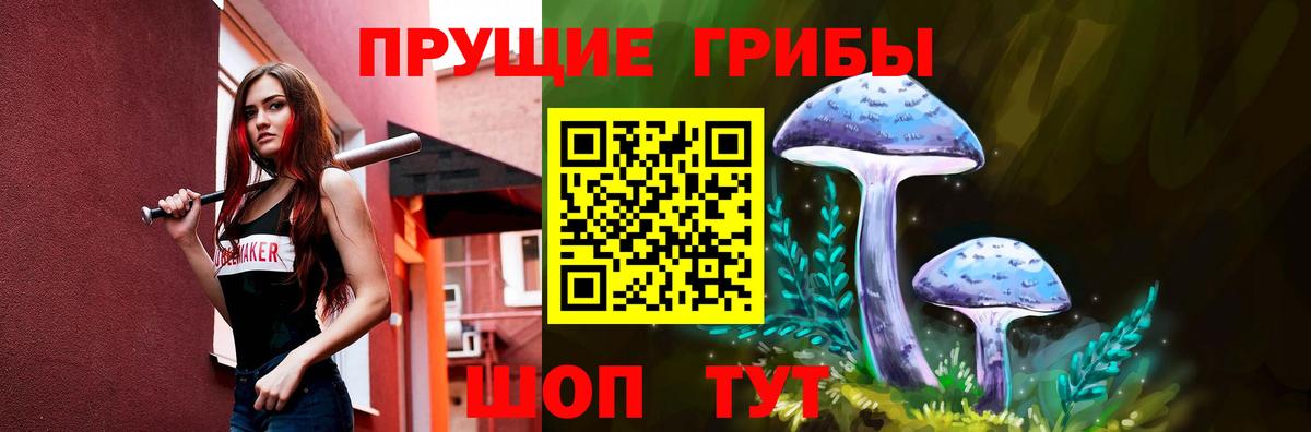 Псилоцибиновые грибы Psilocybe Всеволожск